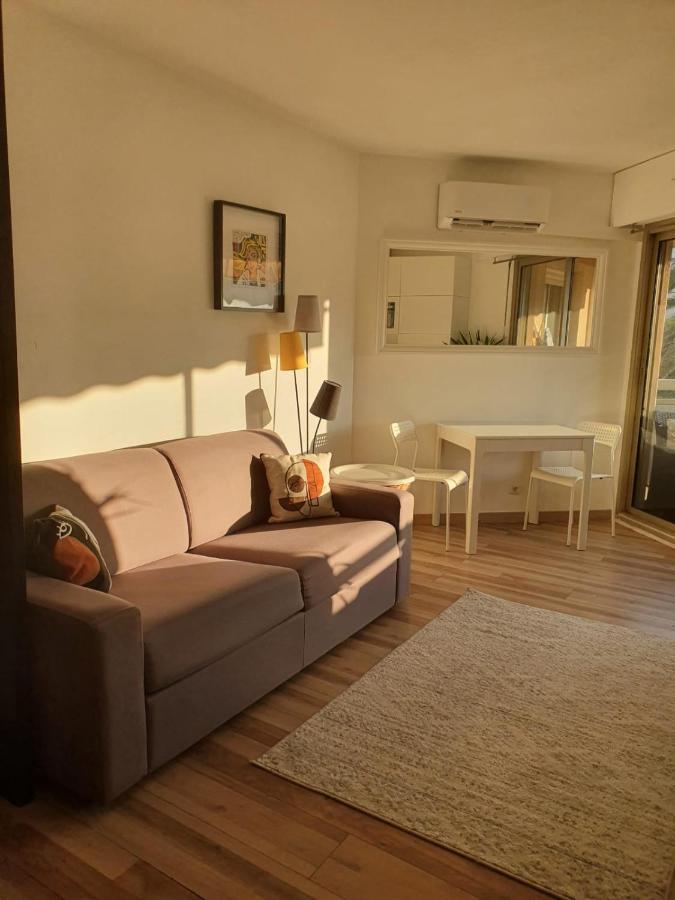 Bel Appartement A 50M De La Plage, 2 Pieces Climatisees, Parking Prive Antibes Exterior photo